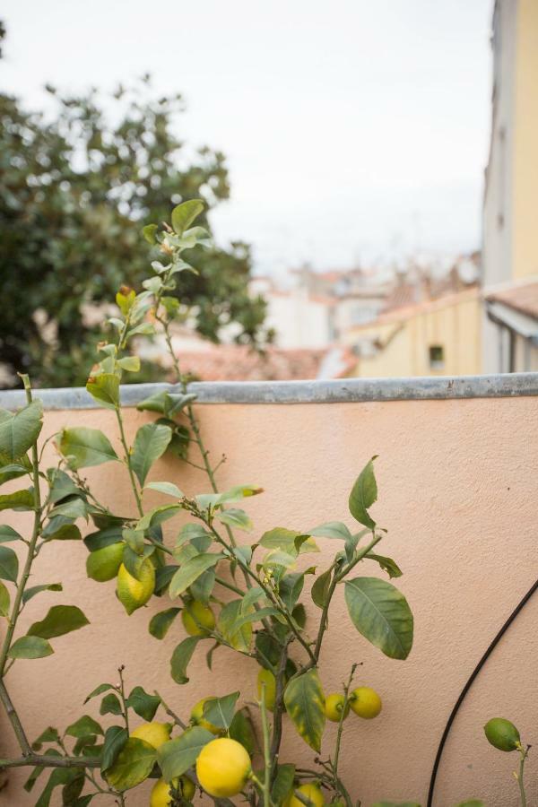 Appartement Chateau Clemenceau *